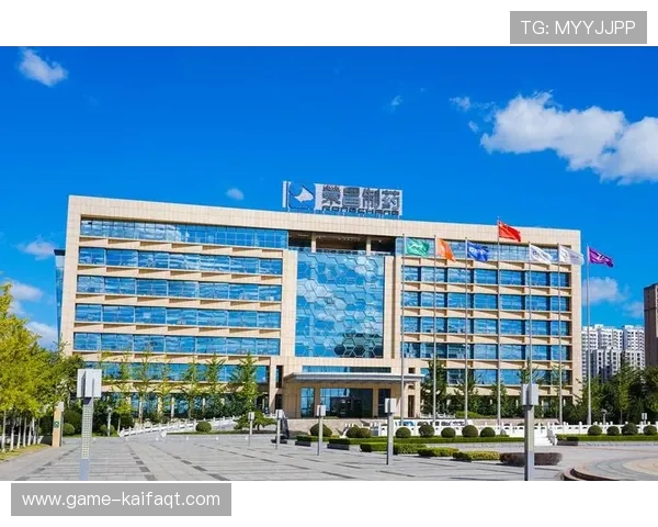 凯发集团网页版登录入口官方地址及安全登录方法解析